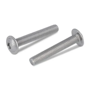 Bestseller Śruby z łbem grzybkowym, podkładkowym, gniazdo na torx, pełny gwint ISO 7380-2 A2 M 4X55/55